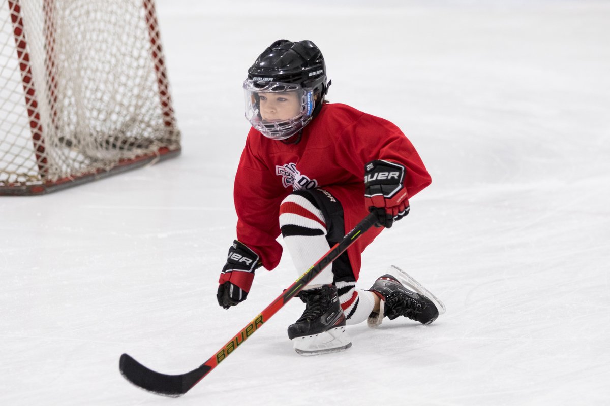 Suburban Ice FH tweet media