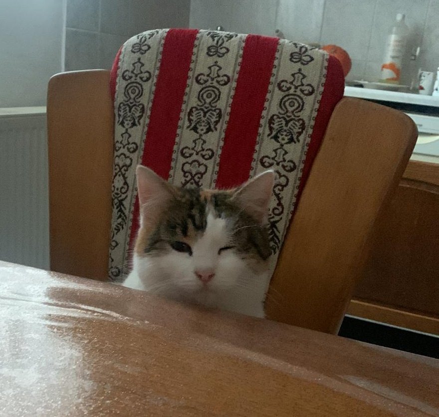 Charmy_Red's tweet image. 😉