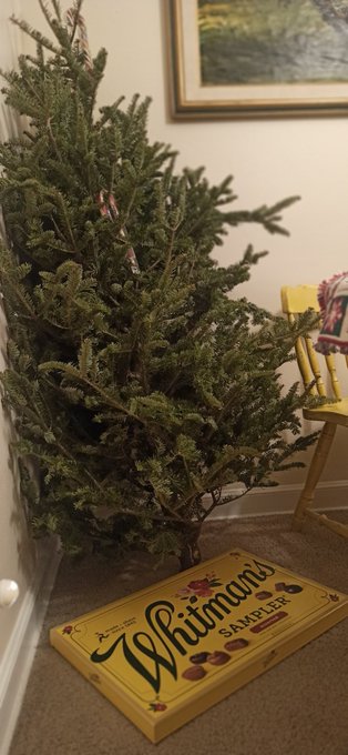 This is my Christmas tree and my Christmas present, 🥰😁 https://t.co/6gbCEeKHcy<a href="/tag/pornstar"class="tags"><span>#pornstar</span></a>