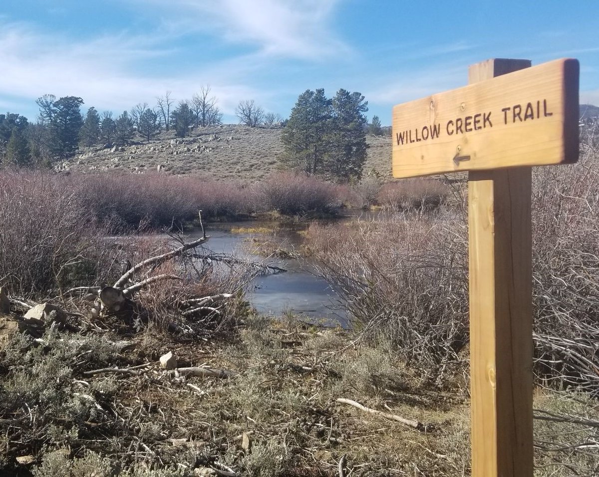 forestservice's tweet photo. Let it snow! Thanks to the Great American Outdoors Act and the dedication of numerous volunteers, youth corps members and Forest Service employees, one of the @ShoshoneNF trail systems now offers winter visitors more ways to connect with nature. https://t.co/EeNRI0JieS https://t.co/UhSHgQ4PEj