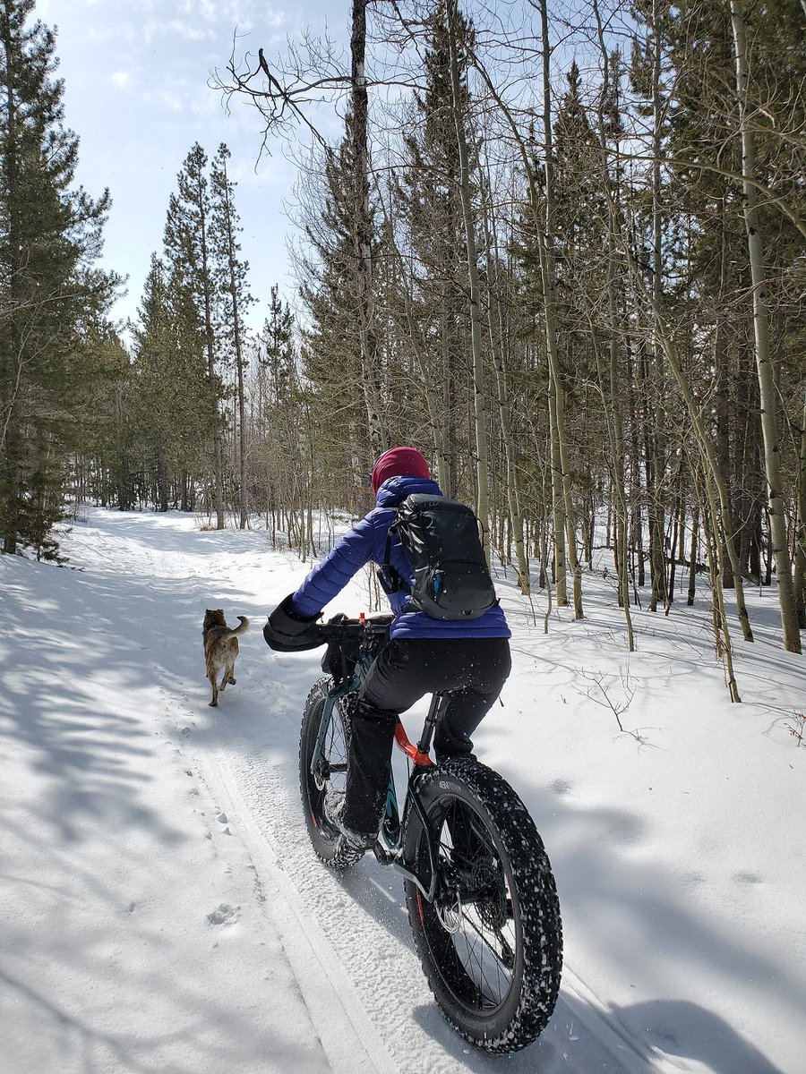 forestservice's tweet photo. Let it snow! Thanks to the Great American Outdoors Act and the dedication of numerous volunteers, youth corps members and Forest Service employees, one of the @ShoshoneNF trail systems now offers winter visitors more ways to connect with nature. https://t.co/EeNRI0JieS https://t.co/UhSHgQ4PEj