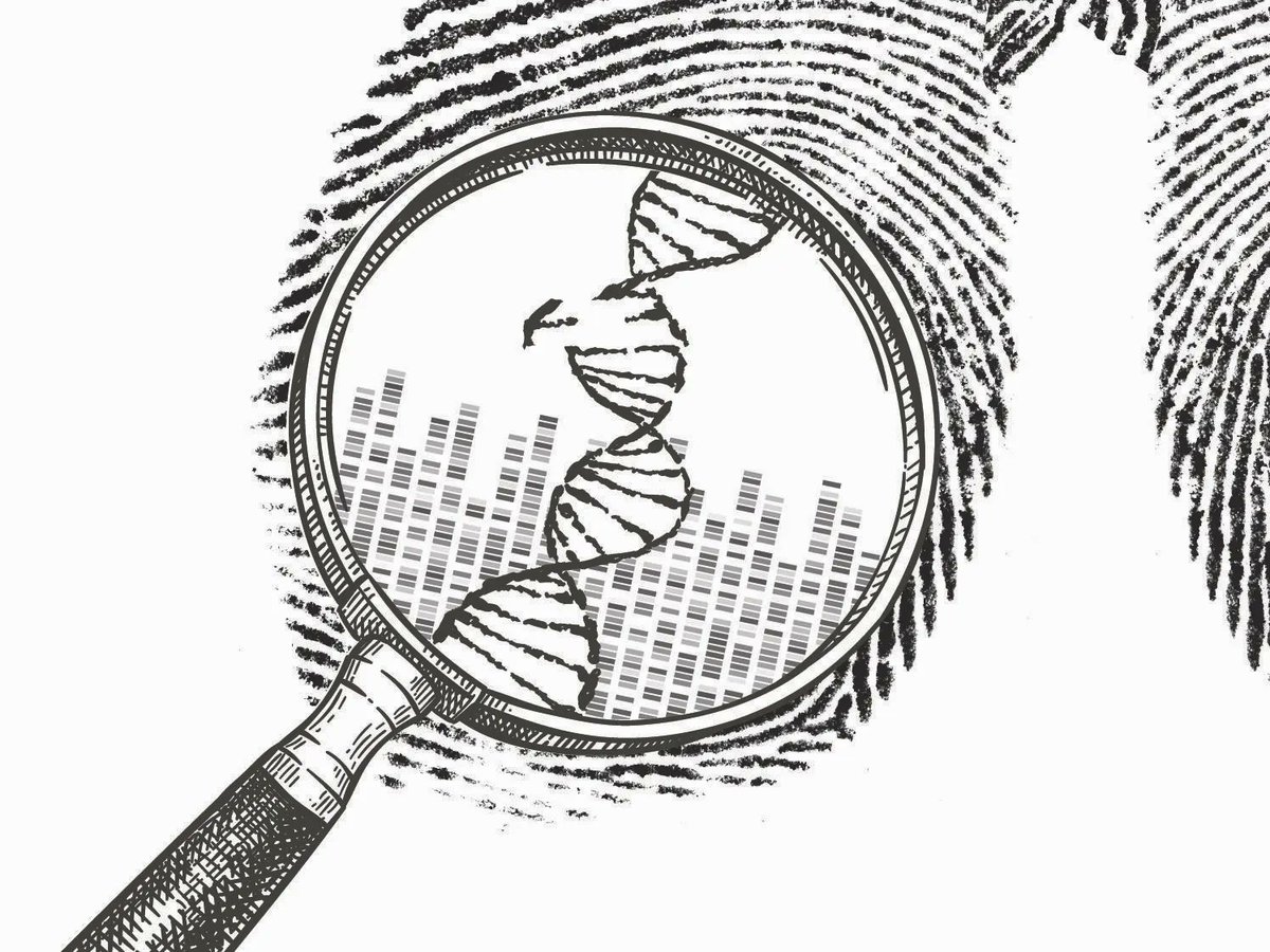 theNCI's tweet photo. An NCI-led research team has illuminated the origins of #LungCancer among people with no history of smoking, who comprise 10-20% of all lung cancer patients. https://t.co/cjkXbcs7YO #CancerResearch #HealthNews #repost https://t.co/YXVkEhBTSR