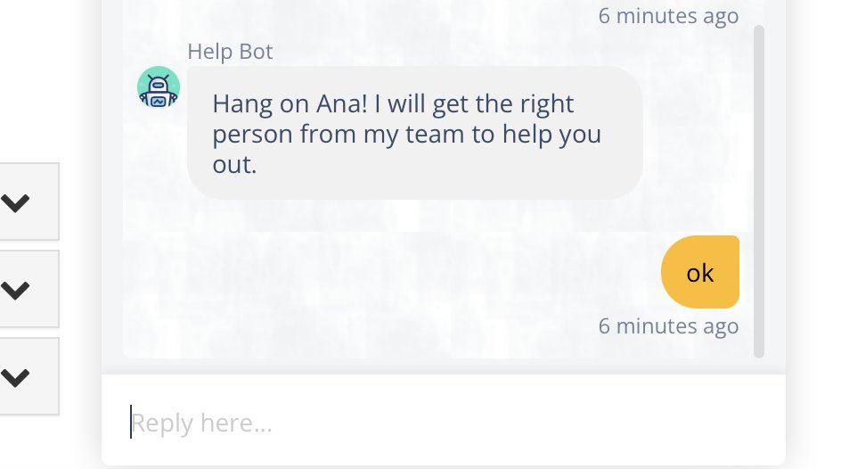 AnaTSVersion13 tweet picture