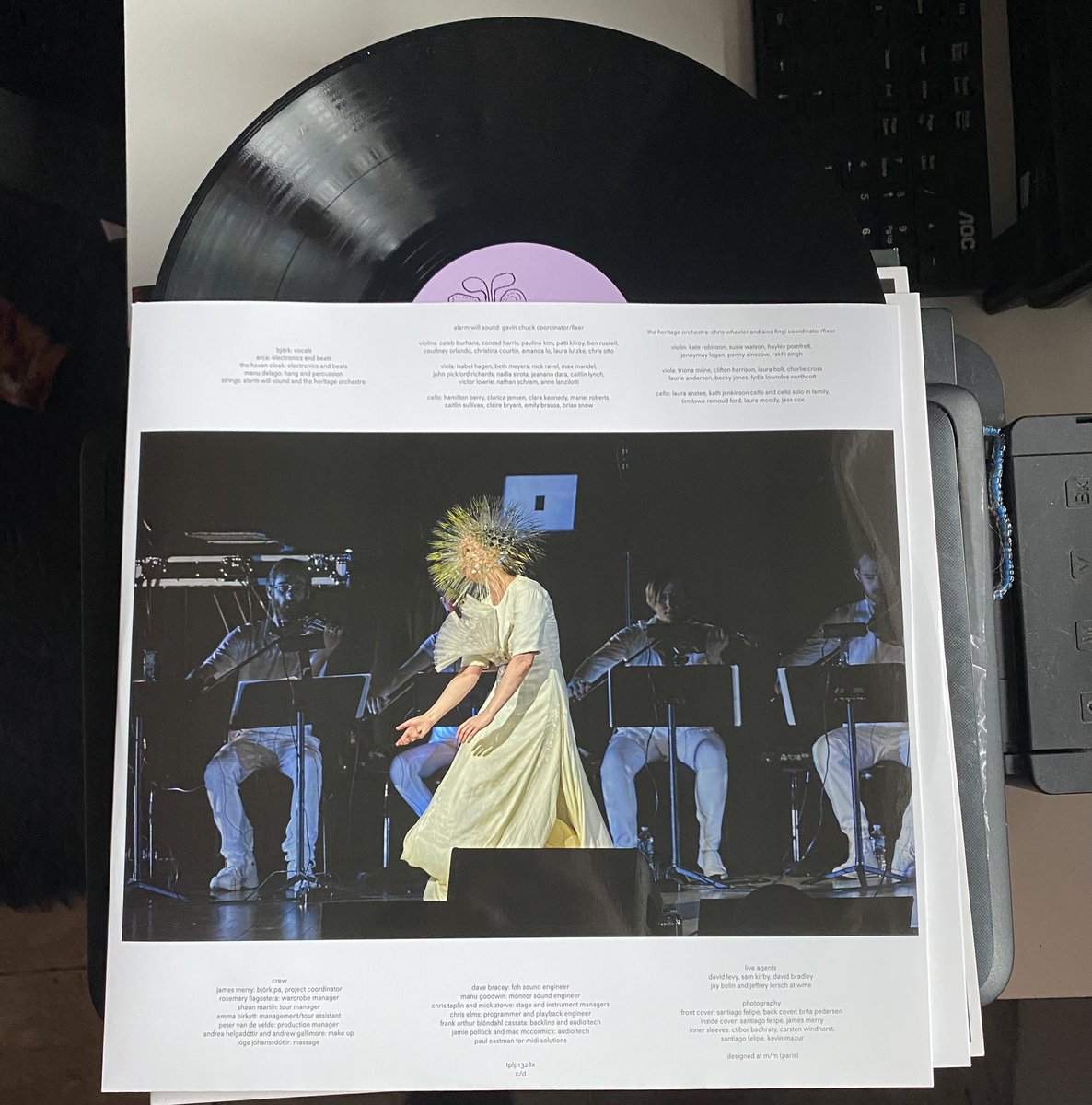 feltalvez🩻 tweet media