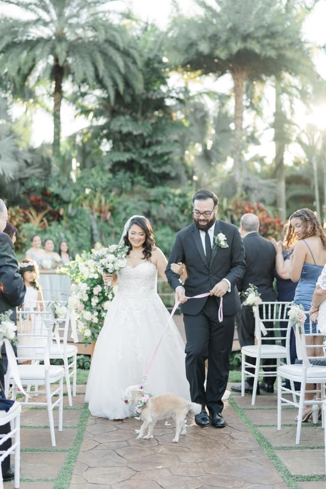bueno_ento's tweet photo. 2021 recap pt. 3 Marrying my best friend in front of all of our loved ones, grateful for all those that made the trip down to Miami, especially during an ongoing pandemic. https://t.co/lBM2tceygI