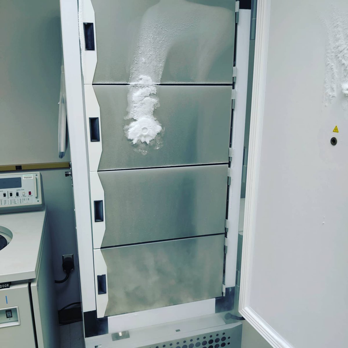 Lina Castano-Duque tweet media