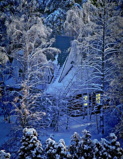 Waqar Ali Khan tweet media