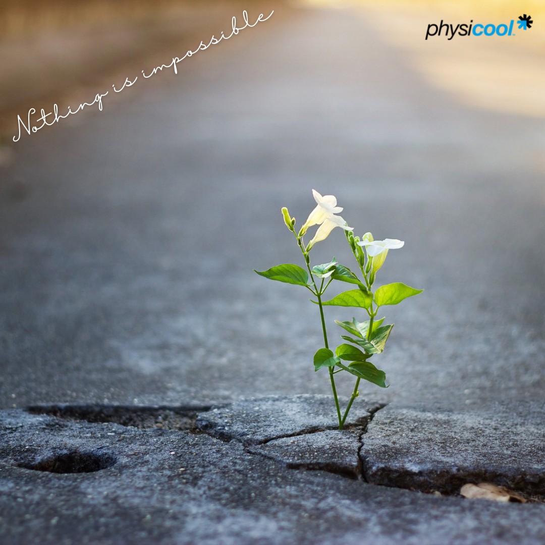 Physicool tweet media