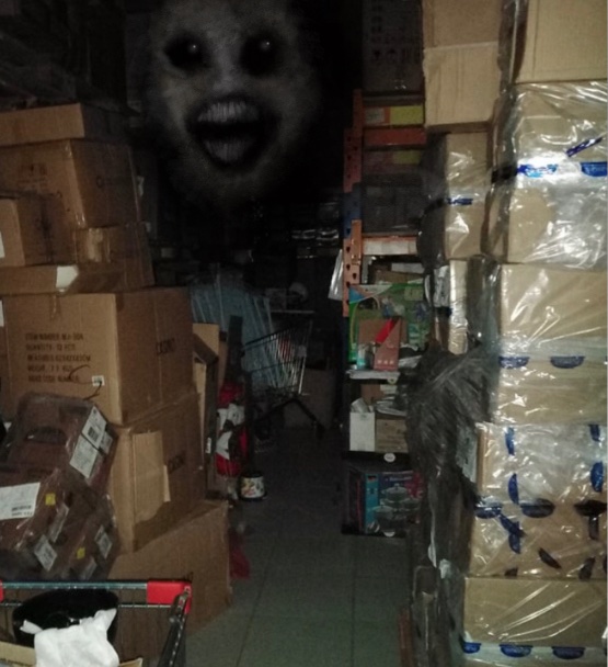 HorrorArt's tweet photo. Turn your flash light off before going into the storage closet

#scary #scaryart #horror #horrorart #trevorhenderson https://t.co/ky3BKOFwbA