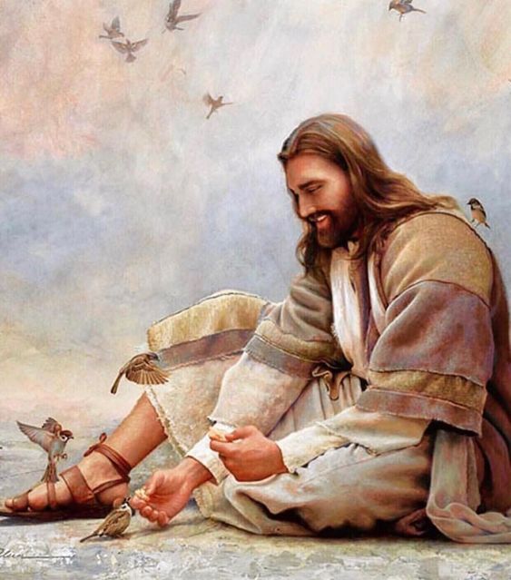 Santa_Palabra's tweet photo. Señor estoy haciendo el balance de lo que logré y de lo que perdí, de los sueños que no alcancé y de los que se hicieron realidad, de mis alegrías y del dolor que sentí. Ayúdame a perdonarme y a perdonar para enfrentar este nuevo año con el corazón sin culpa y sin resentimiento. https://t.co/gFOvOwlVBG