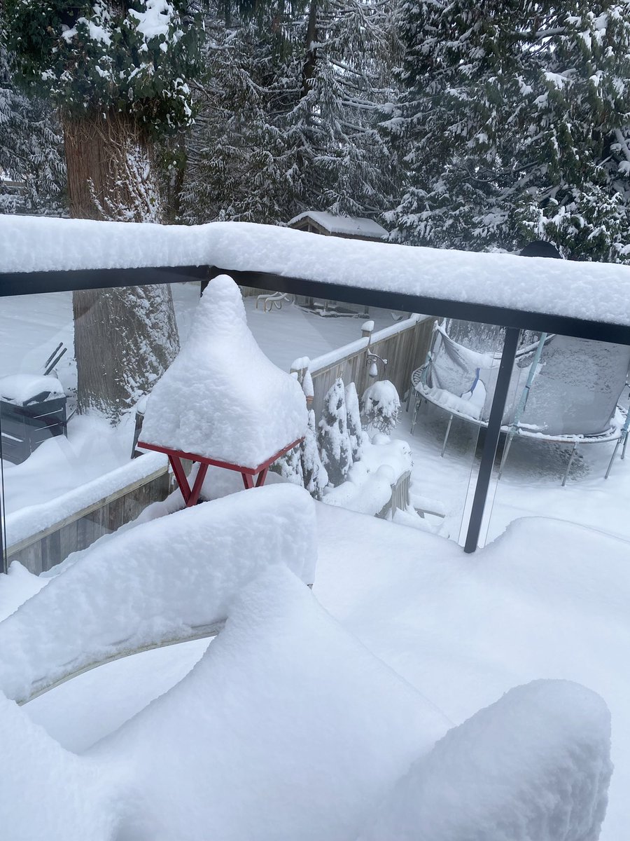 feonapaints's tweet photo. @rhymeswpretzel @CityNewsVAN Port Coquitlam ❄️ https://t.co/UtbP4GHXn9