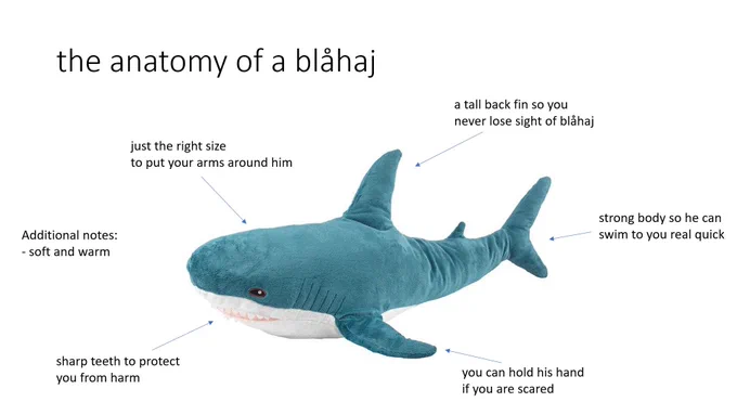 A reminder...... Irl Titus is Blåhaj sized. 