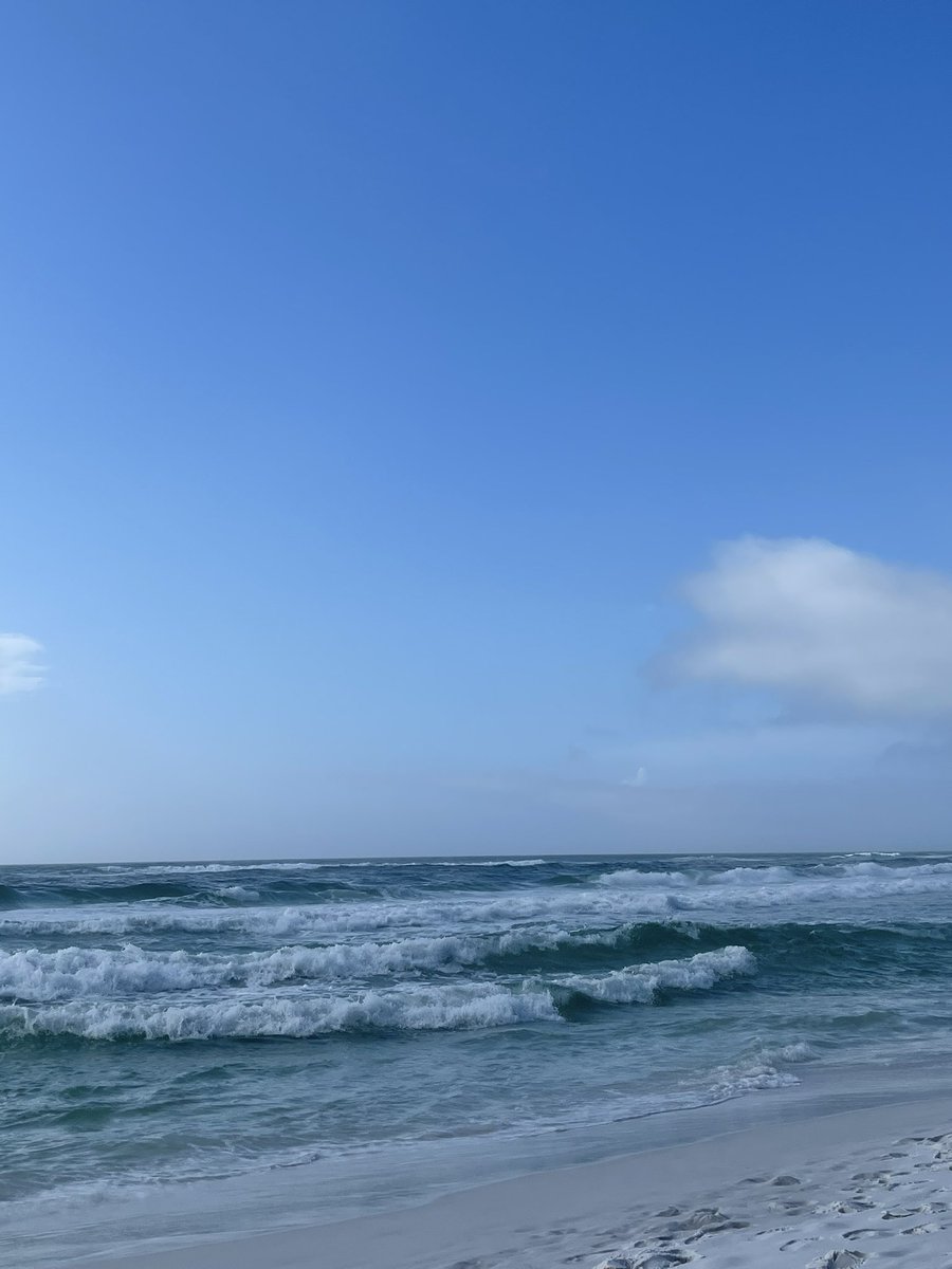 CorieHaynes's tweet photo. Sitting on the beach in a tank top and shorts, slathered in sunscreen, drinking a mimosa, on Dec 30, and thinking I should’ve put my swimsuit on. I’ve already been in once this morning… 🙌🏼 #beachinit #MiramarBeach https://t.co/KzdZkSaW87