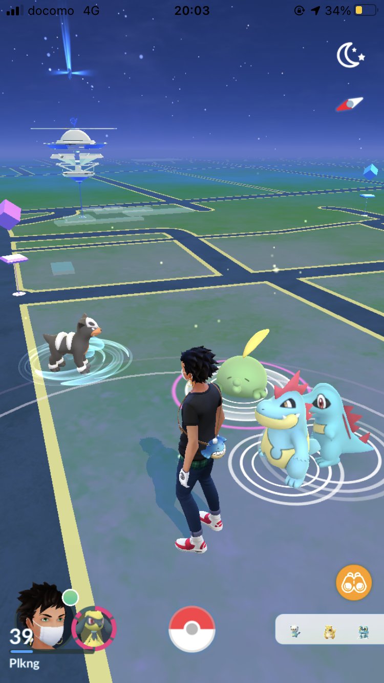 ｙｙ ポケモンgo5周年 ポケモンgo アリゲイツ 俺のが身長高いもんね ワニノコ もうすぐで抜かせるし という可愛い日常生活 T Co Ux5oe5fpsb Twitter