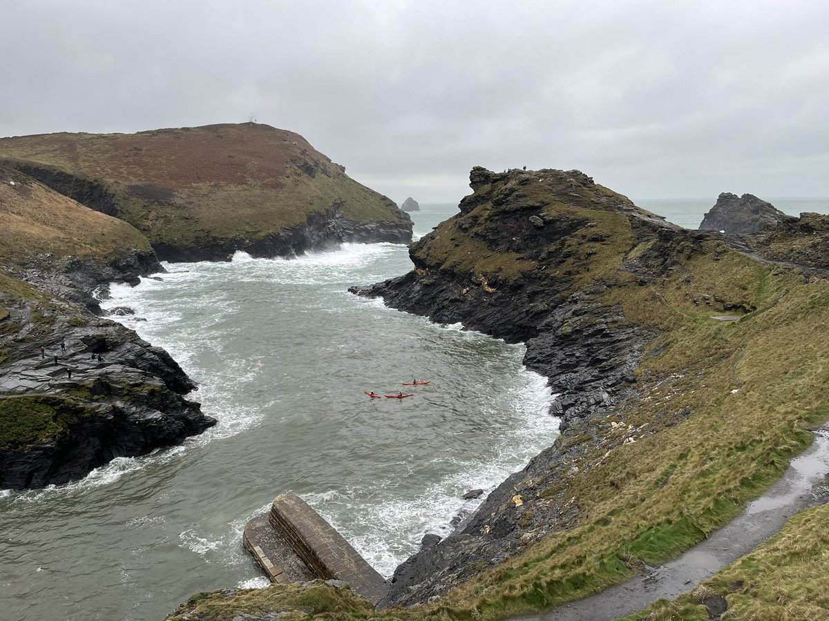 Mark Capra tweet media