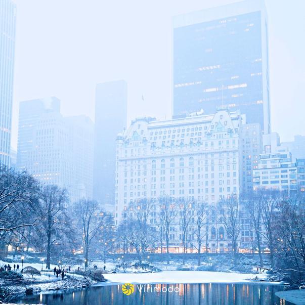 virimodo's tweet photo. Americans are all set for a “Season of Shivers” as we are about to witness one of the longest and coldest winters in years due to #LaNina. 
.
.
.
.
.
#climatechange #savetheplanet #stopclimatechange #sustainableliving https://t.co/6IByWdNfUB
