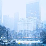 Photo by Virimodo (@virimodo)