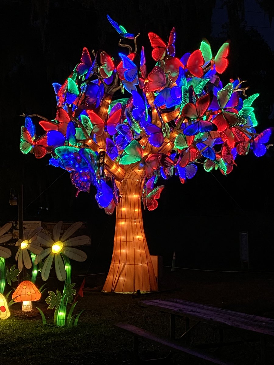Centralflzoo's tweet photo. Start 2022 by seeing Asian Lantern Festival: Into the Wild! Hurry, it's only here until Jan. 16! Get your tickets now: https://t.co/irfG9Qa3yt #CentralFloridaZoo #CFZAsianLanternFestival #CFZIntoTheWild https://t.co/CgByk06E3e