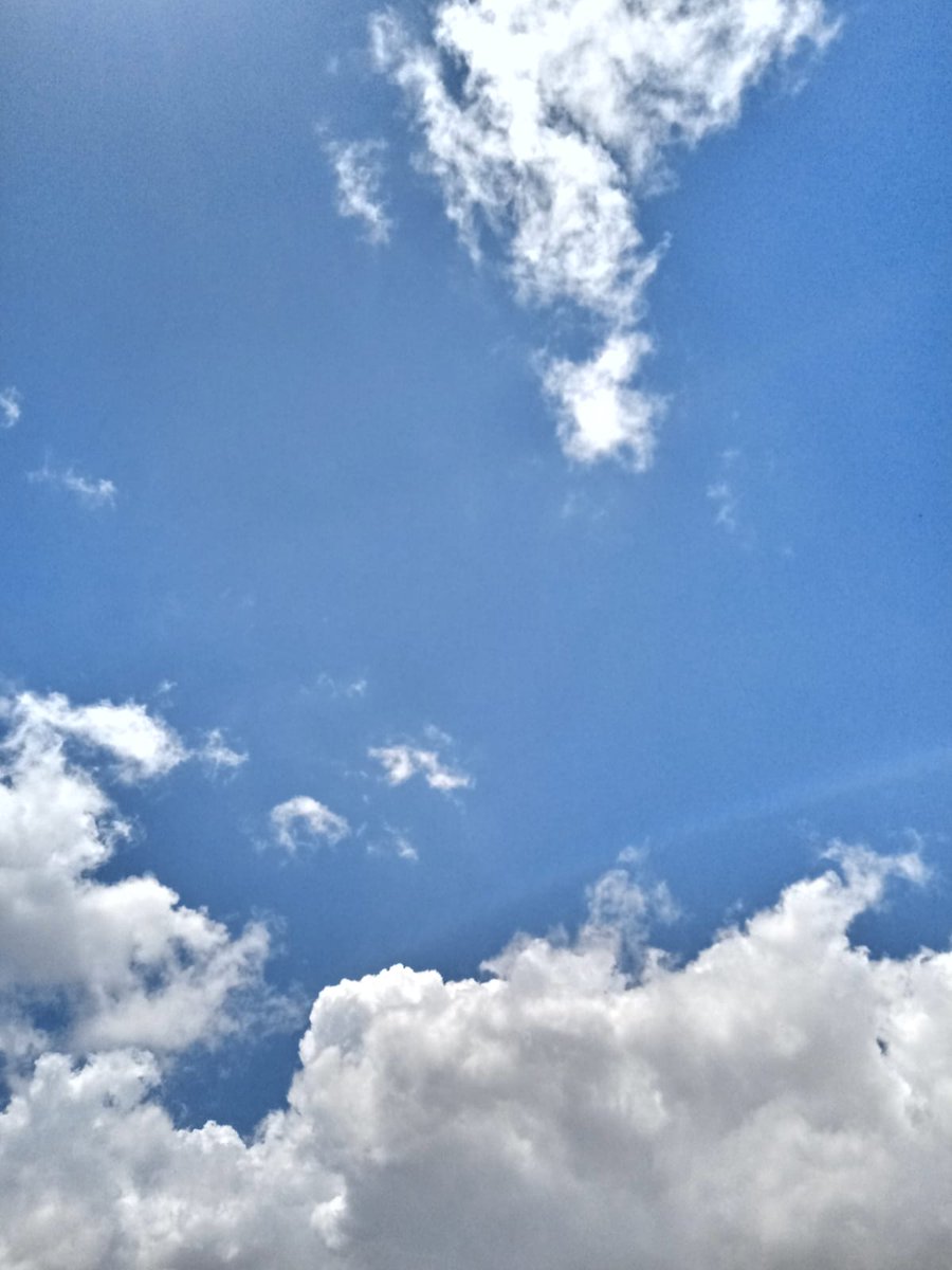 httpslariswys's tweet image. you killed me bitch