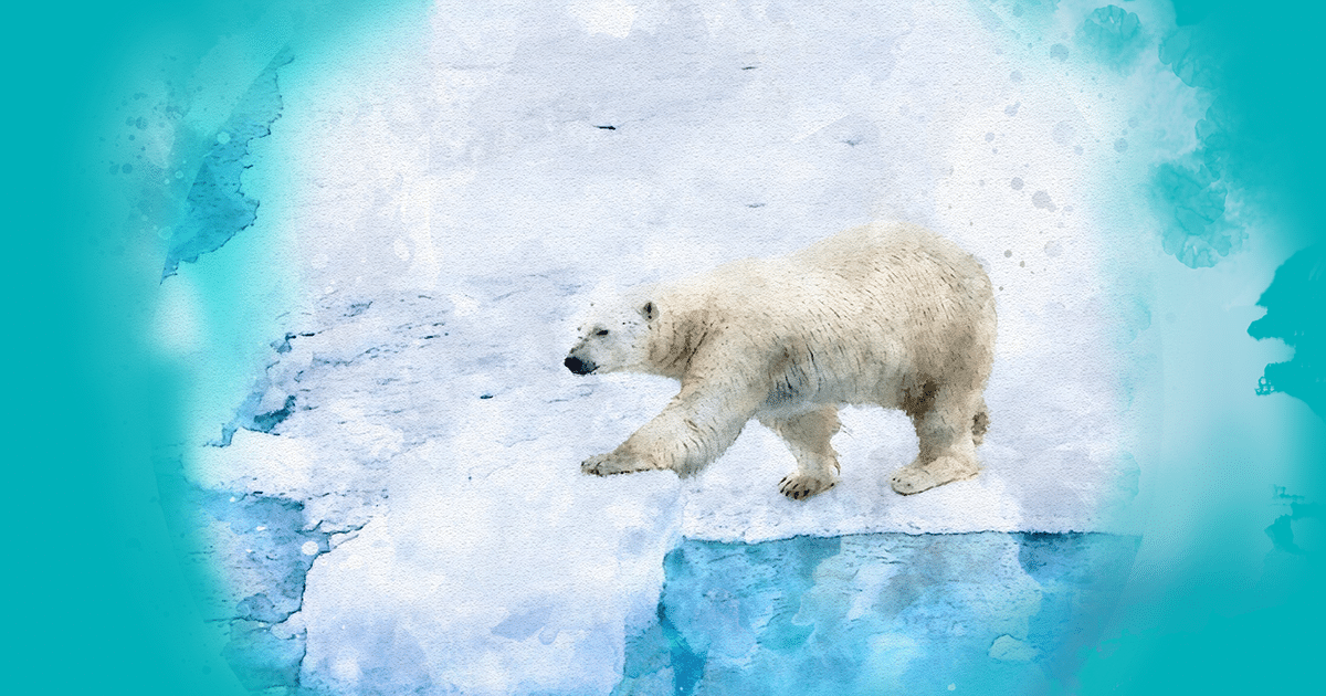 The second organization we’re making a donation to is 
<a href="/EarthDay/">EARTHDAY.ORG</a>, whose mission is to diversify, educate and activate the environmental movement worldwide. Learn more: earthday.org