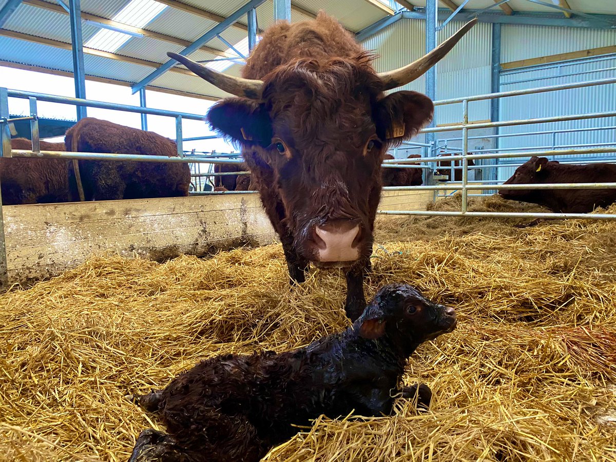 Niall Hunt tweet media