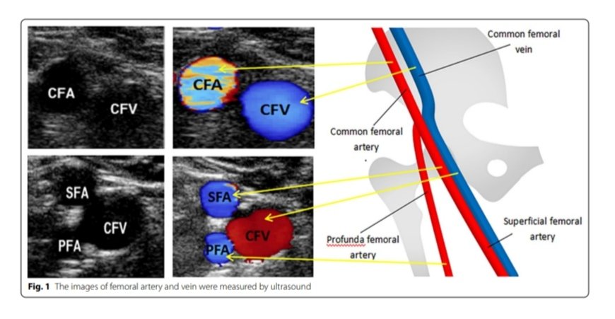 Joaquín Martínez tweet media