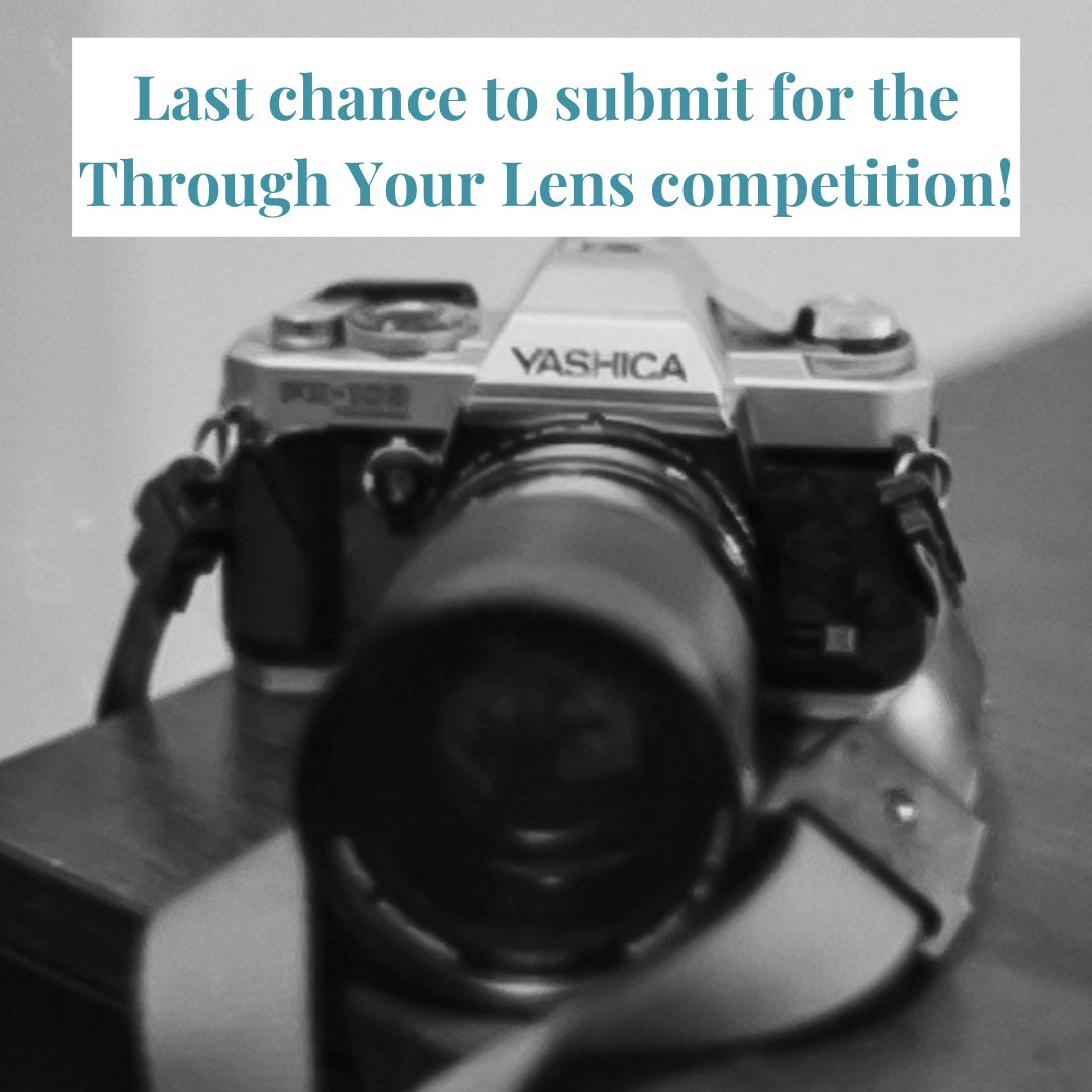 The Bluestone tweet media