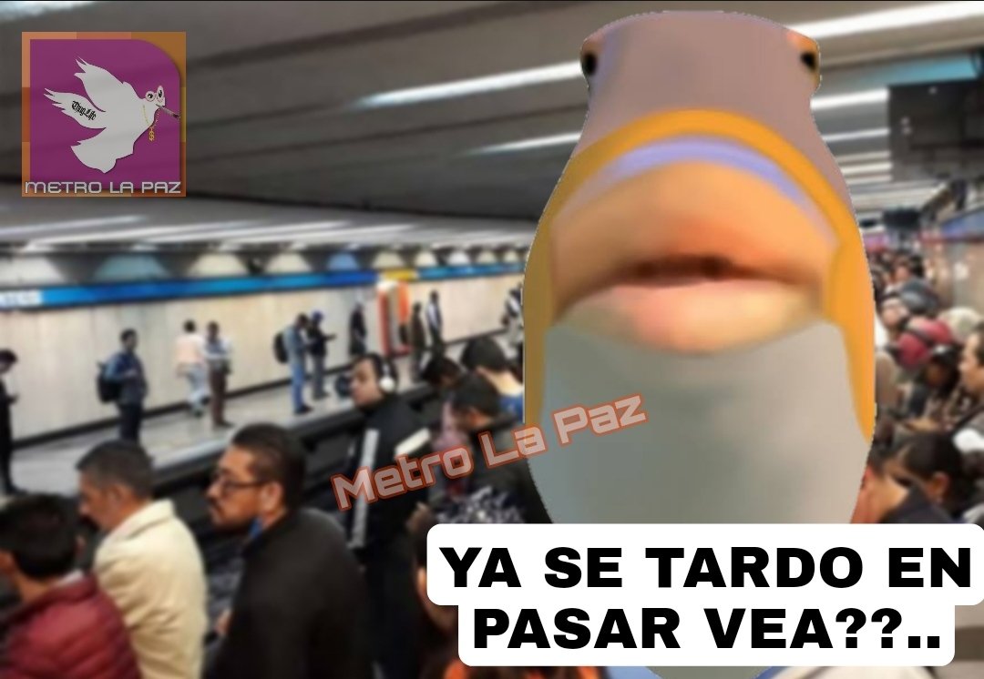 *yo esperando a que llegue el metro*

Una señora que salió de la nada: