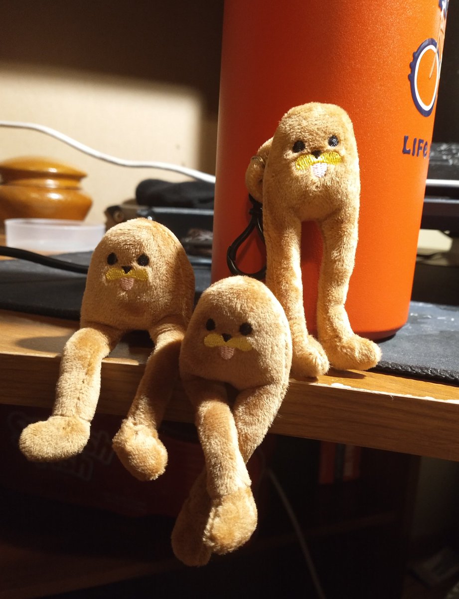 Wayne_and_Stuff's tweet photo. The boys #gondolatwitter https://t.co/SjjyLxAd8K