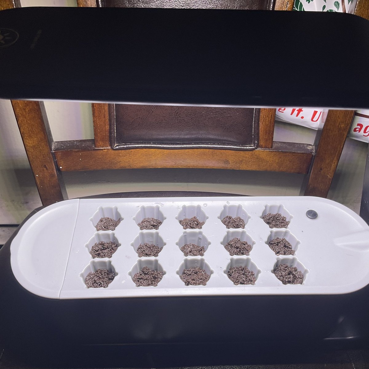 therealTR4G1C's tweet photo. 15 NEW BABIES IN THE @AeroGarden SEED STARTER! 
#GrowYourOwn HAS OFFICIALLY STARTED FOR #2022GROW 
THIS GROW WILL BE MY PROJECT SPIDER GROW WITH SPIDERFARMER SF2000 &amp; EXCLUSIVE NUTRIENTS BY @suiteleaf GET YOURS NOW! #SPIDERFARMER #SF2000 #SUITELEAF #CannabisCommunity #Cannabis https://t.co/yrA85csEYi
