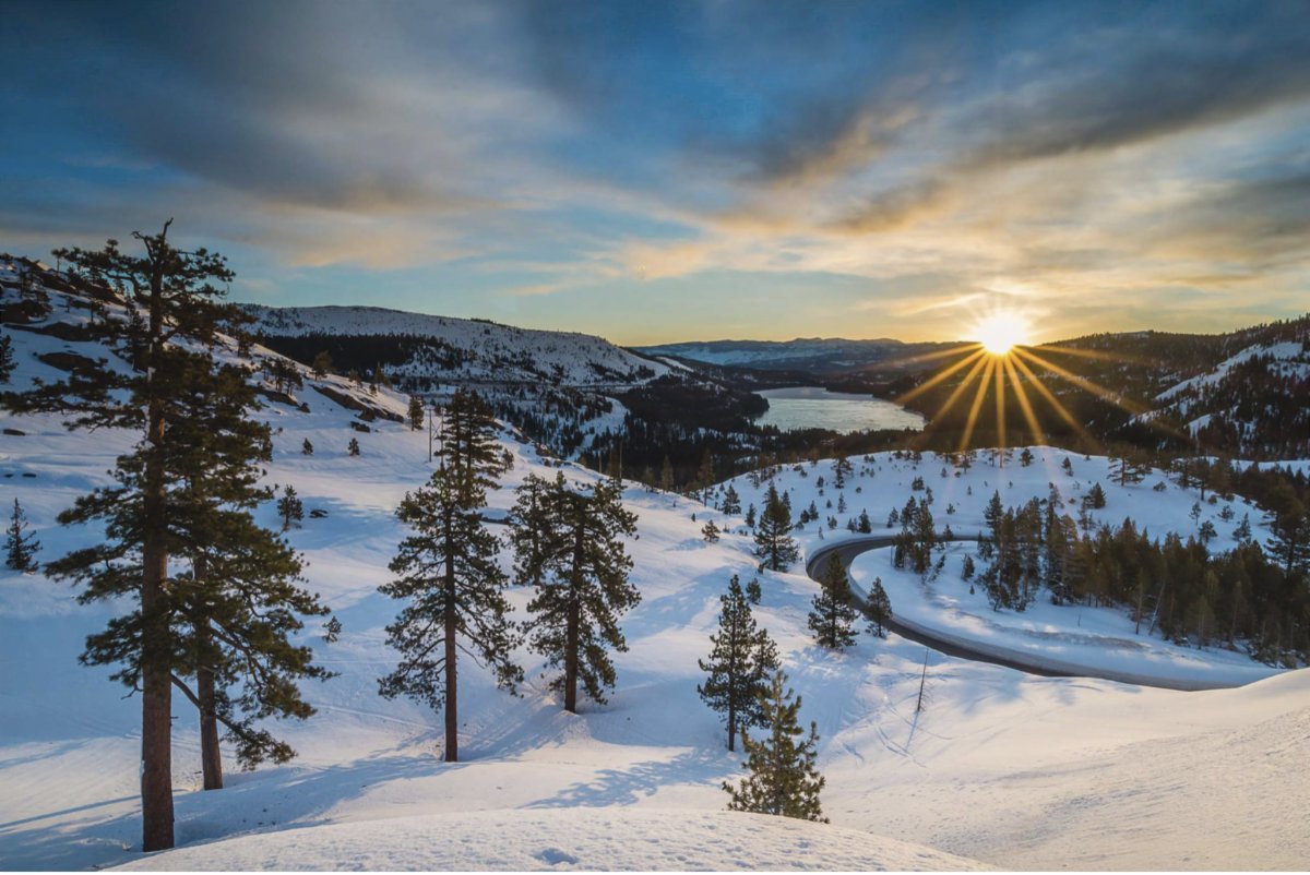 Apparatus Design tweet media