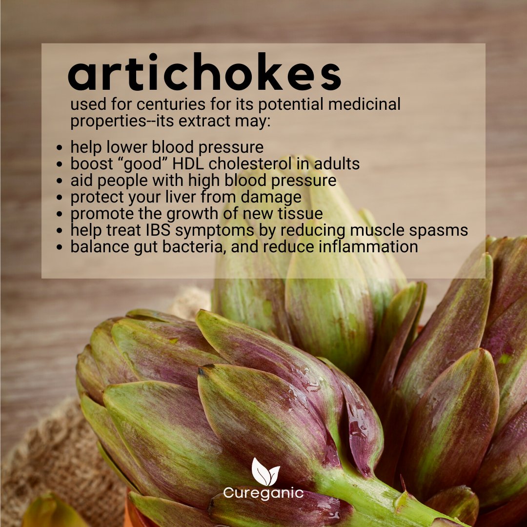 Artichokes are packed with antioxidants and are loaded with vitamin C, phosphorus, magnesium, vitamin K and folate. It helps digestion, lowers blood sugar levels, liver health, and heart health.

Do you eat artichokes?

Source: bit.ly/3EWBfx1

#cureganic #foodismedicine