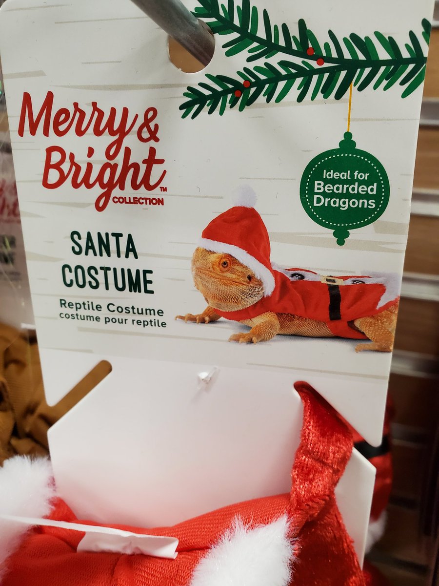 If anyone needs gift ideas for me next year here you go:

i want to be the christmas lizard