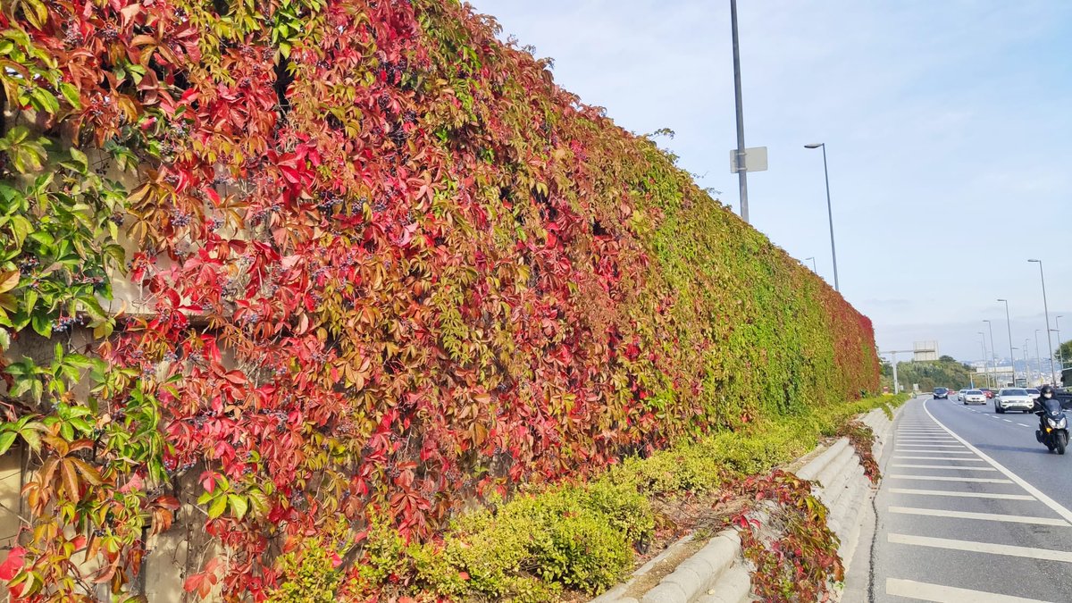 arif külünk tweet media