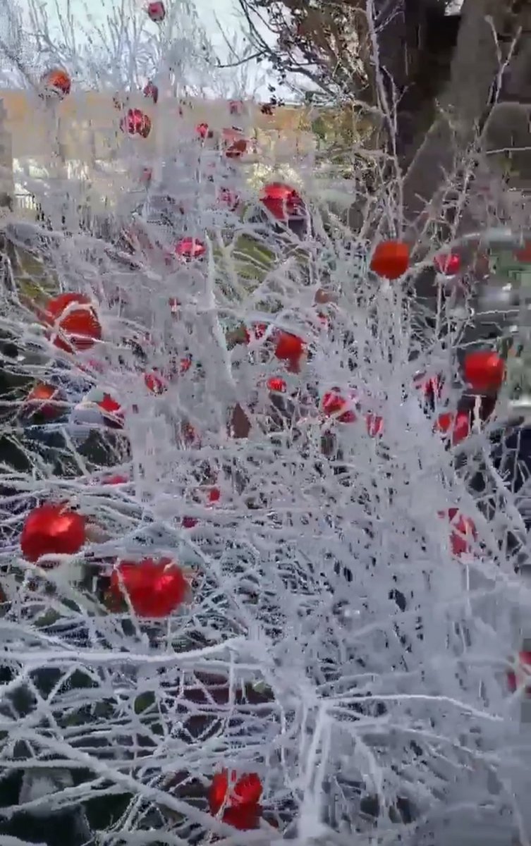 "Hoy te acabo de ingresar 365 días de buena suerte, alegría y felicidad en tu cuenta número 2022.
Hola 2022 q ganas tenemos de verte ya.
Que la llegada del 2022 marque el inicio de una vida llena d salud y felicidad" #FelizAñoNuevo2022 🎄
Buenas noches Twitter a soñar bonito 💋💫