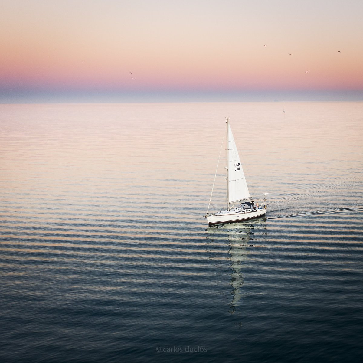 CarlosDuclos10's tweet photo. Dias de calma para terminar el año… ojalá sea un buen presagio ⛵️
Quiet days to end the year ... hopefully a good sign 🎄 🍀 #felizañonuevo #happynewyear #sailing #calmweather #anochecer #sunset #sea #mediterraneo #mediterraneansea https://t.co/X9OvT4Ioif