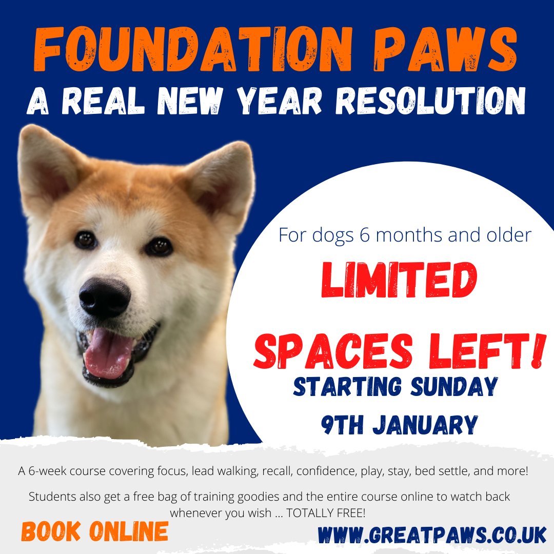 great_paws's tweet photo. NEW YEAR RESOLUTION

Is your teenage dog a little much at the moment? Is your older dog needing a top up on life skills? Are you wanting to learn how to help your dog enjoy life with you even more?
#greatpaws #greatpawsgang #dogsofinstagram #positivedogtraining #dogtraining #dogs https://t.co/GGZ7brCwjR