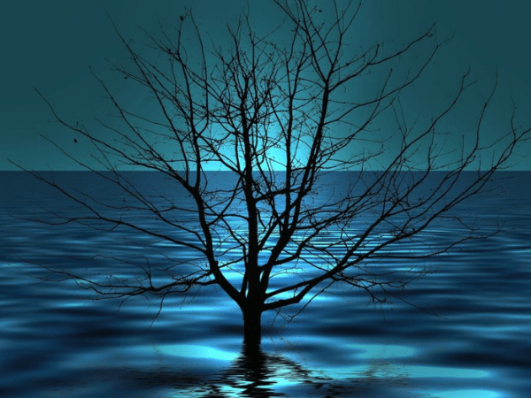 EmpathEvolution's tweet photo. Sometimes, you won’t fully recognize the source of your pain or discontentment.

It may look like one thing– My life is overwhelming— or I am sick all the time– or my back hurts, when in actuality, the source of that ailment is coming...

READ MORE
https://t.co/P8LTmrzwWo https://t.co/ELG0uR0rvO