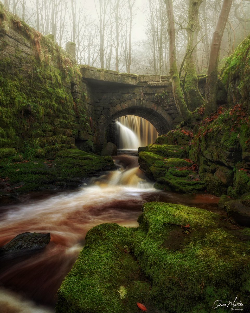 Simon martin tweet media