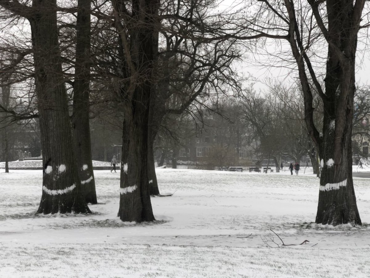 j_ofthetree's tweet photo. Twee! #mooistefoto2021 #BaZ #Vondelpark https://t.co/w1d6ROx9rU