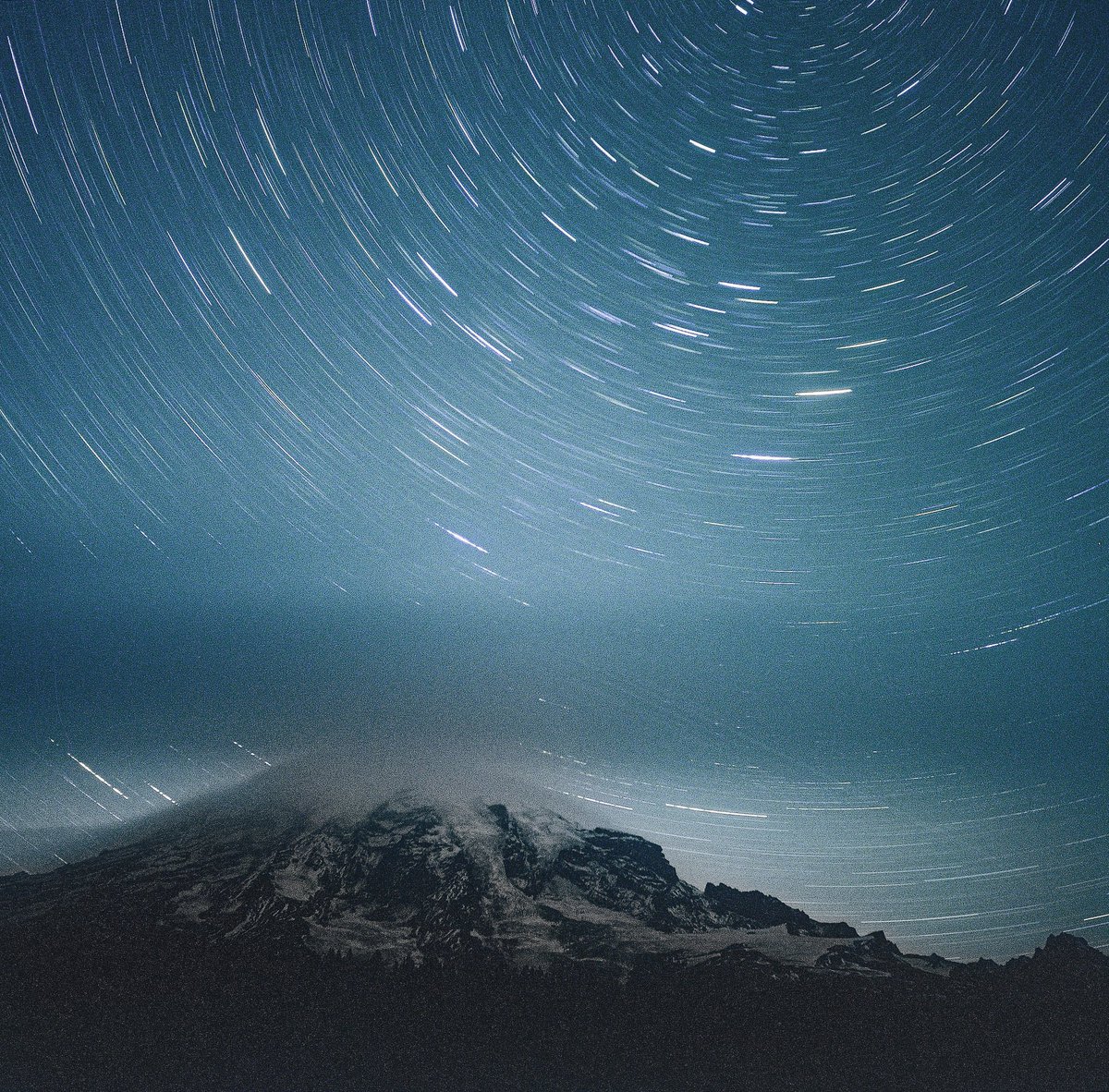 roxanneonfilm tweet media