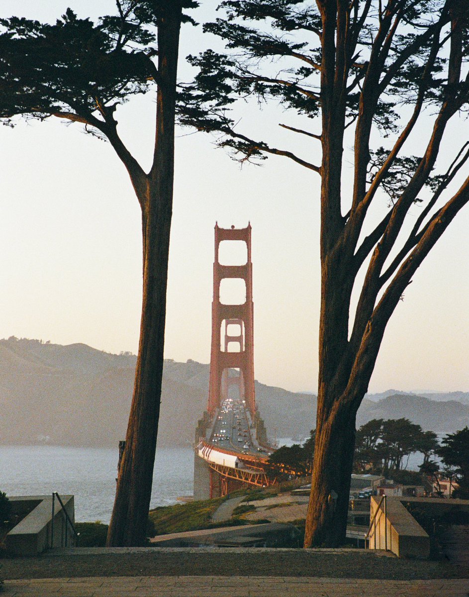 Brandon Hook tweet media