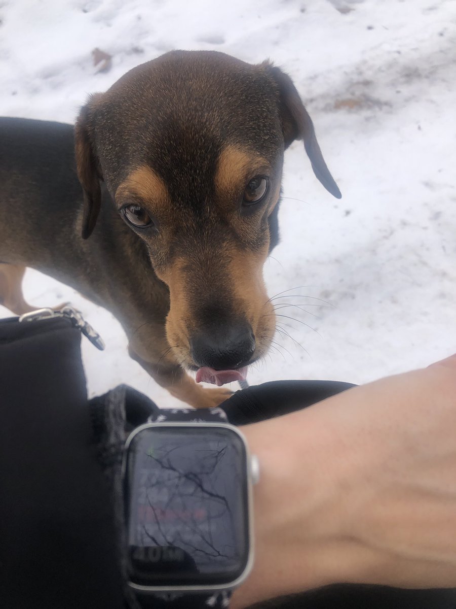 rauhkm's tweet photo. Finn and I did #4forOxford today #maddymatters #oxfordstrong https://t.co/8p7qTbXmB2