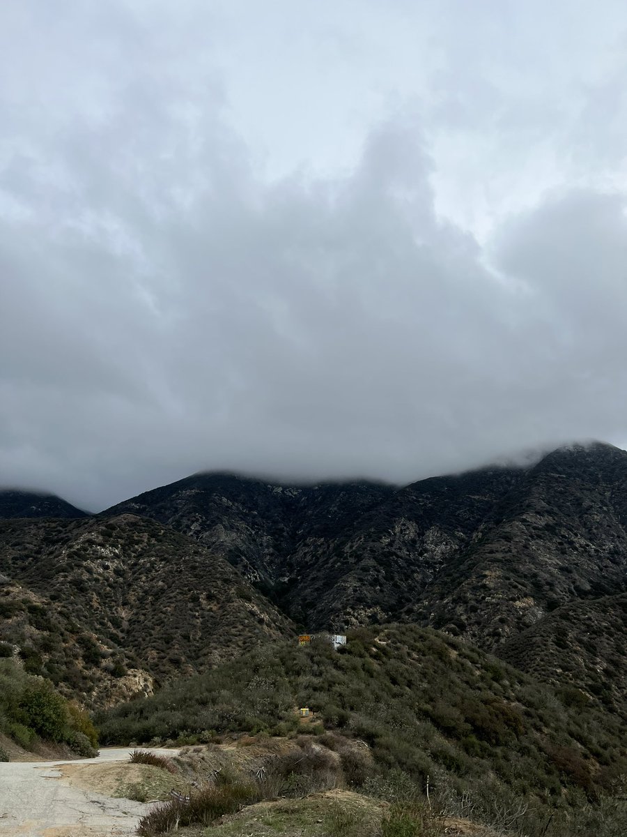 tougeshrk's tweet image. 