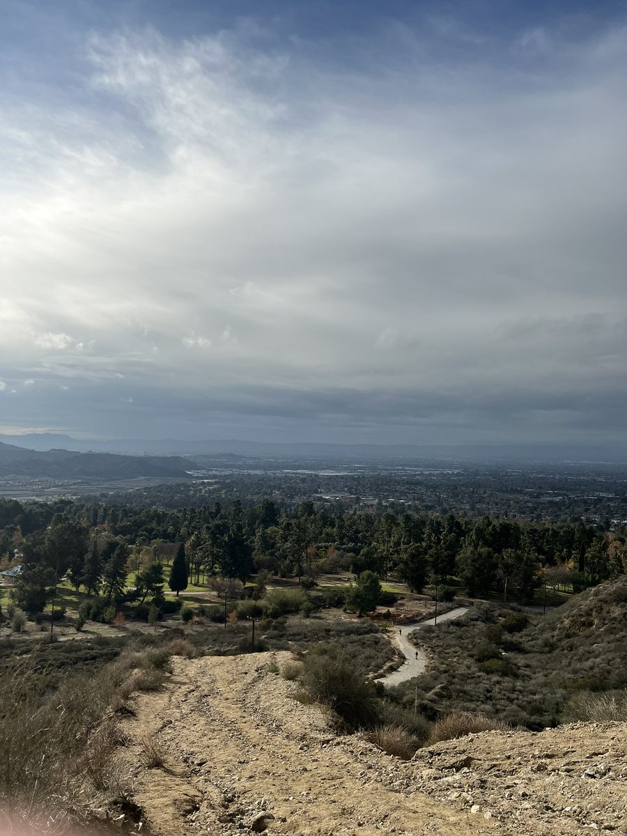 tougeshrk's tweet image. 