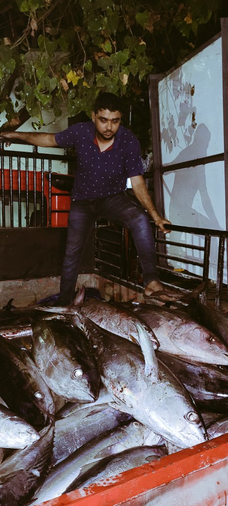 Fisheries_UTLA's tweet photo. #WeBring a youth collective frm @KSmartcity @UT_Lakshadweep started supply of fresh #YellowFin #TUNA 2 mainland markets @Min_FAHD @FisheriesGoI @nfdbindia @DoC_GoI https://t.co/BwtC7h2yFN