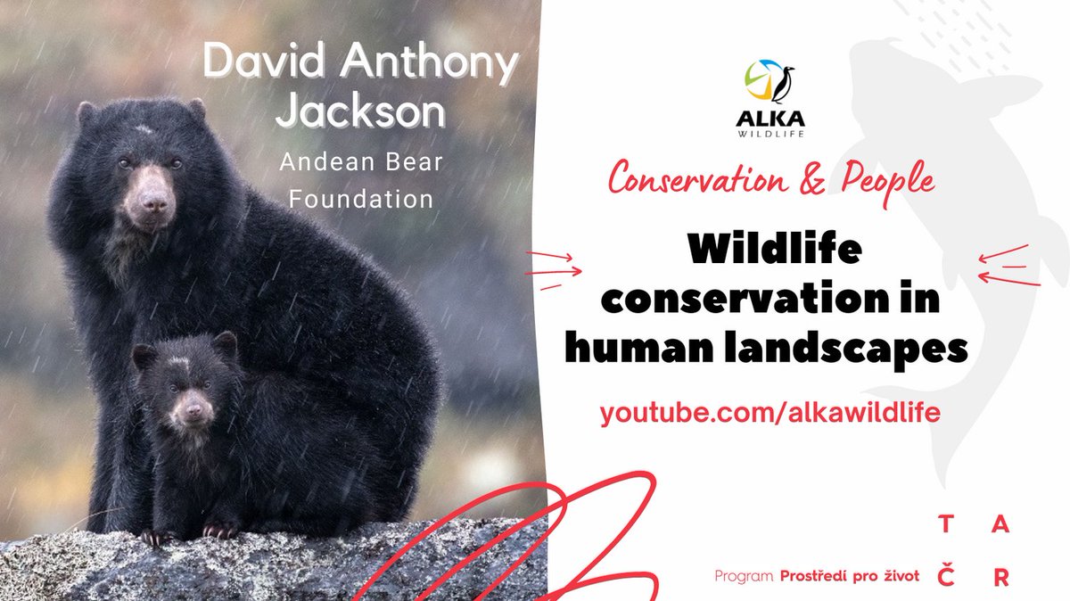 AlkaWildlife's tweet photo. You can learn about the methods to mitigate human - bear conflicts in Ecuador thanks to @BearAndean  in this talk

#Conservationandpeople https://t.co/EkVxKmWGDJ