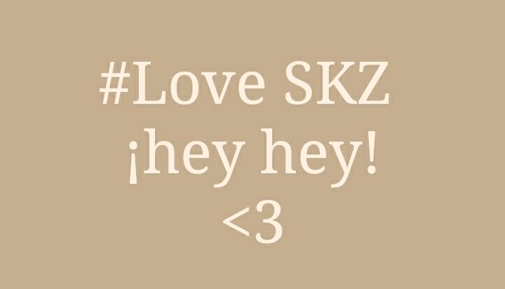 chanstarrrrr's tweet photo. #LoveStay #LoveSKZ @Stray_Kids https://t.co/DaDJ6hEhhX