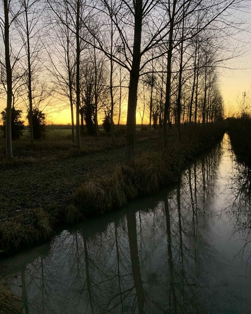 KatehardyFrance's tweet photo. Promenade du soir, Varennes-sur-Loire https://t.co/kuMnlI9veJ https://t.co/L02VW1Q6Jx