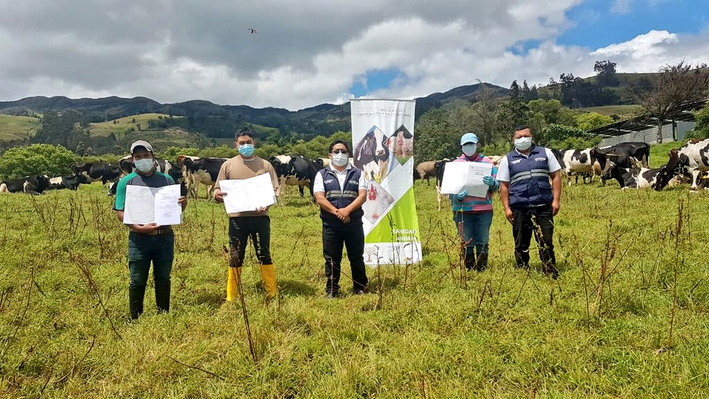 AgrocalidadZ7's tweet photo. #Loja | #Agrocalidad entrega recertificación de predios libres de tuberculosis y brucelosis bovina a ganaderos, por haber cumplido con los requisitos vigentes en la hacienda La Cruz sector Zalapa. #PrevenciónSanitaria https://t.co/AjgdxptVXk